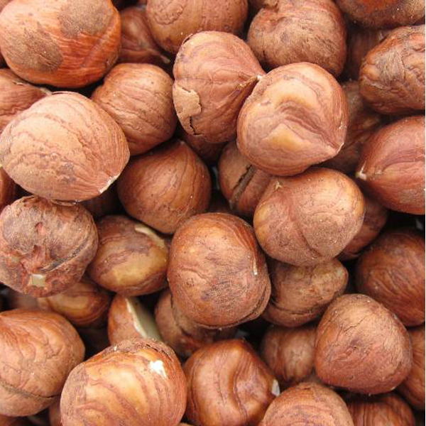 تصویر 3 از قیمت فندق بو داده + خرید باور نکردنی