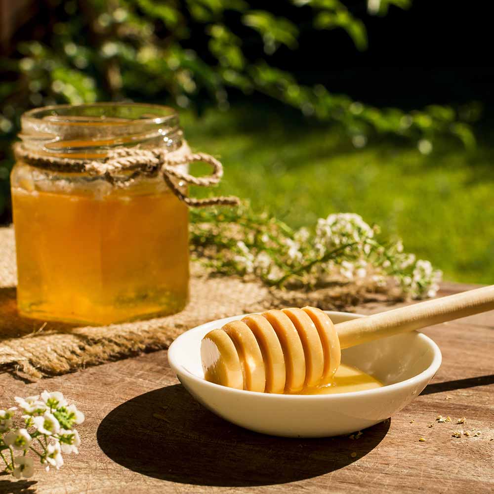 راهنمای خرید عسل سبلان + قیمت عالی