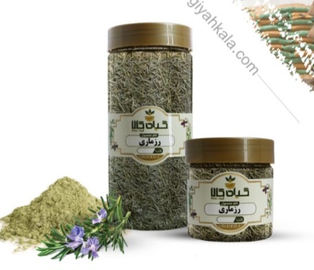گیاه رزماری خشک و پودری + بسته بندی فروش صادراتی