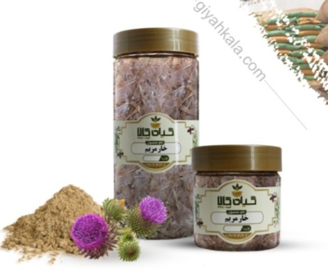 گیاه خار مریم خشک و پودری + بسته بندی فروش صادراتی