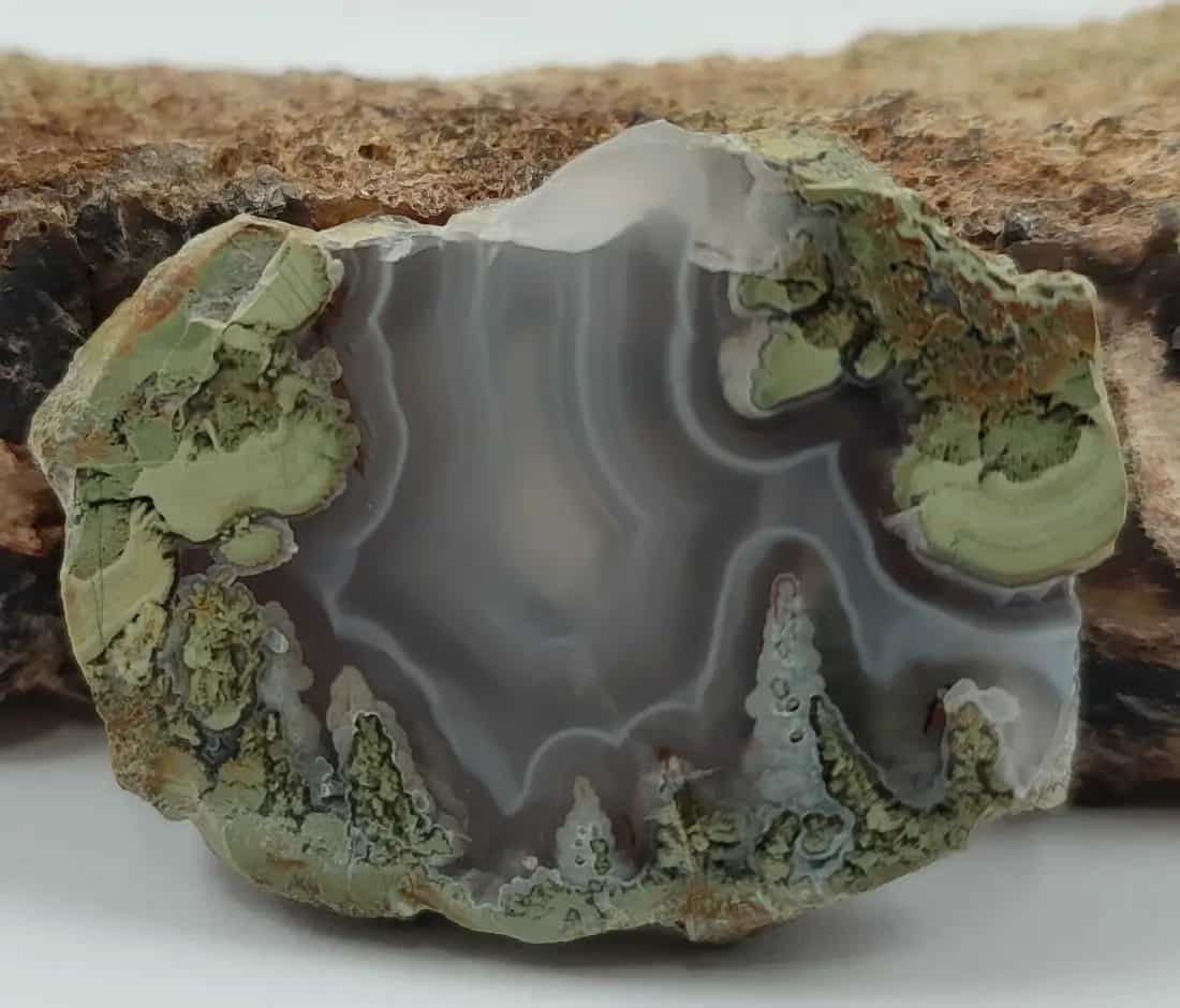 تصویر 4 از قیمت سنگ عقیق شجر + خرید باور نکردنی