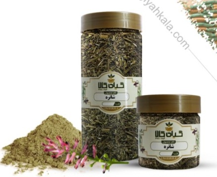گیاه شاه تره خشک یا پودری بسته بندی + فروش صادراتی