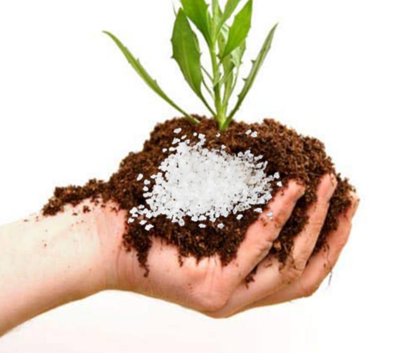 کاهش مصرف آب با ترکیب هیدروژل و کود در خاک ژله ای + قیمت ویژه