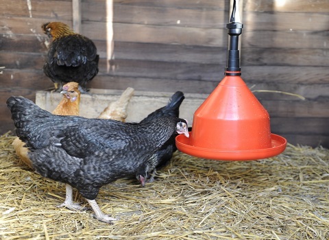 ماناج صنعت بهترین قیمت خرید آبخوری مرغ نیپل در ایران