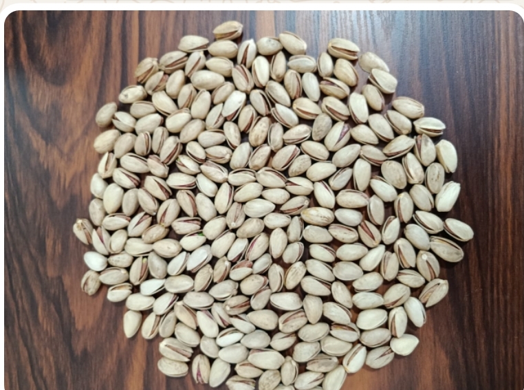 خرید پسته احمد آقایی