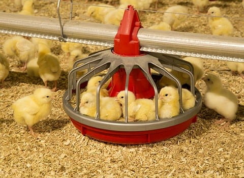 ماناج صنعت بهترین قیمت خرید بشقاب دانخوری پارس در ایران