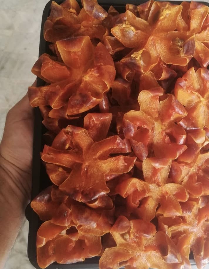 فروش عمده و جزئی خرمالوی طرح گل برند کرشمه