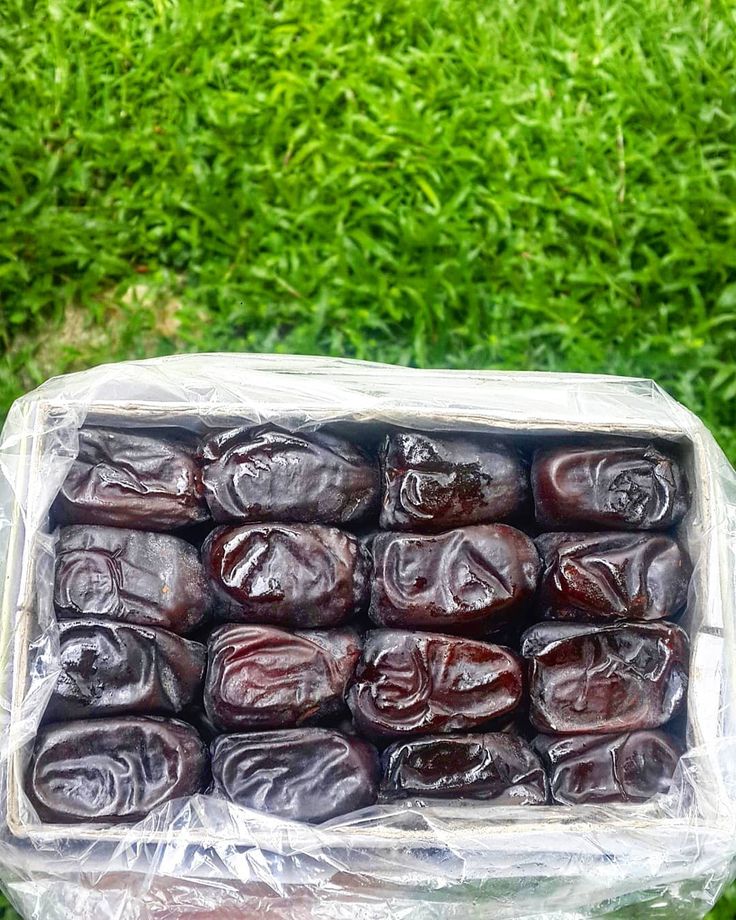 تصویر 3 از خرید فروش انواع خرما مضافتی کرمان صادراتی