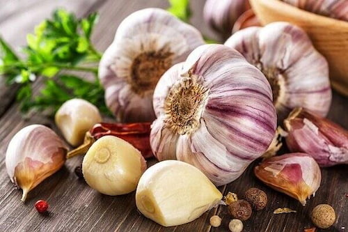 خرید و قیمت سیر همدان + فروش عمده