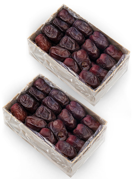 تصویر 1 از فروش خرما مضافتی بم + قیمت خرید به صرفه