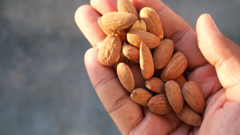 خرید بادام + فروش عمده