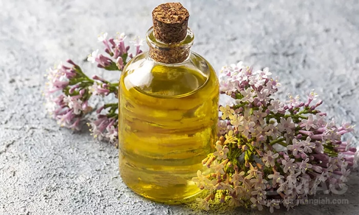 فروش عصاره سنبل الطیب مایع گرید A