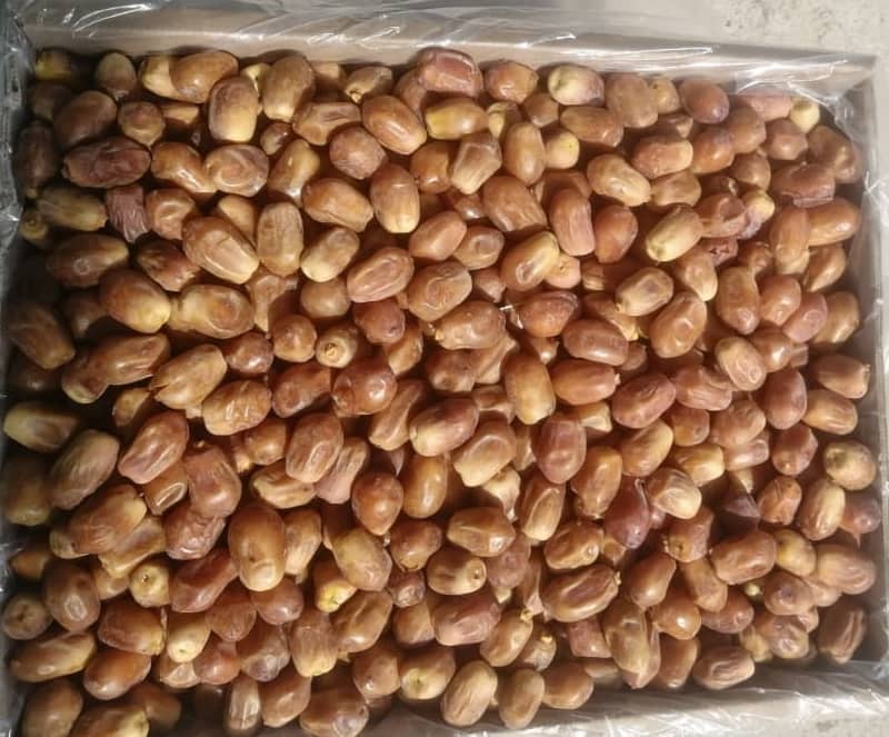 قیمت عمده خرما زاهدی گوشتی درجه یک