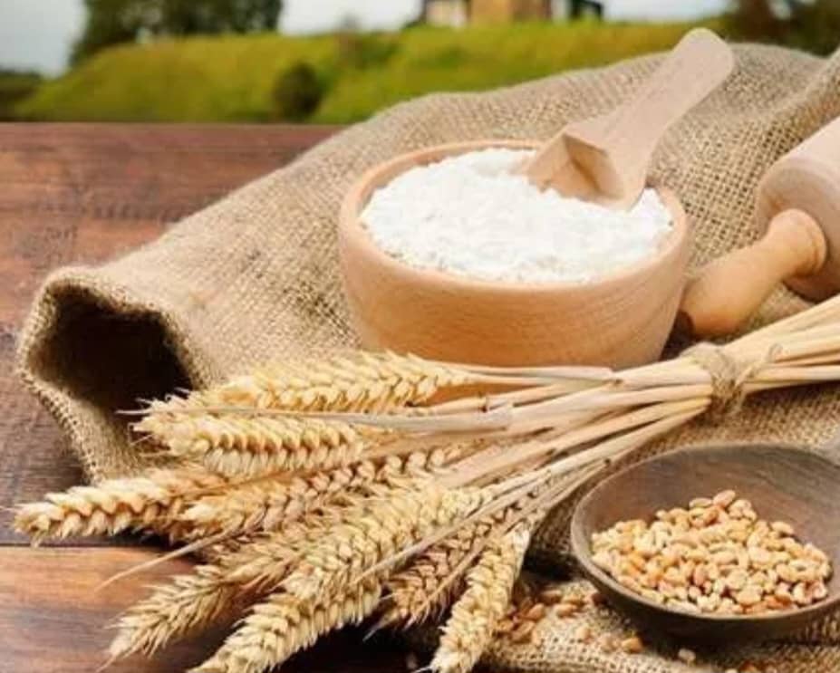 خرید و فروش نشاسته گندم + تامین مستقیم و مطمئن