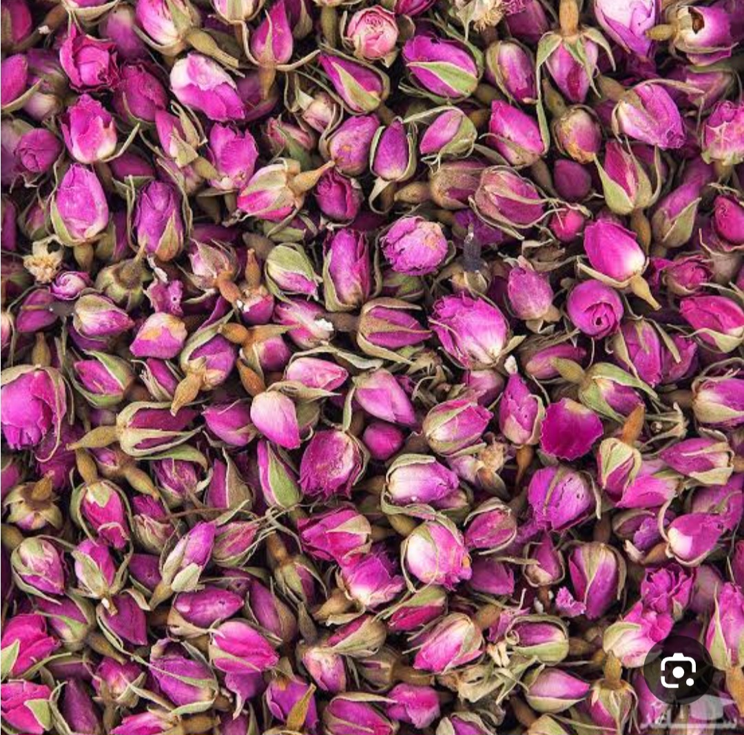 پخش صادرات غنچه گل محمدی ممتاز + قرارداد تامین بلند مدت