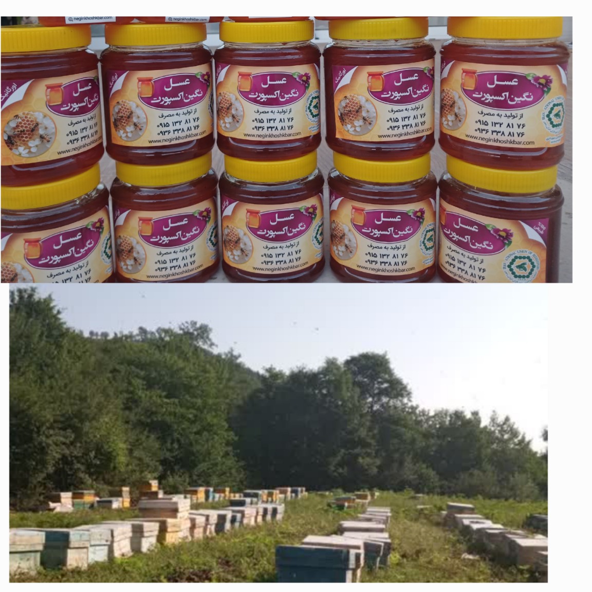 فروش باور نکردنی عسل طبیعی ارگانیک نگین اکسپورت