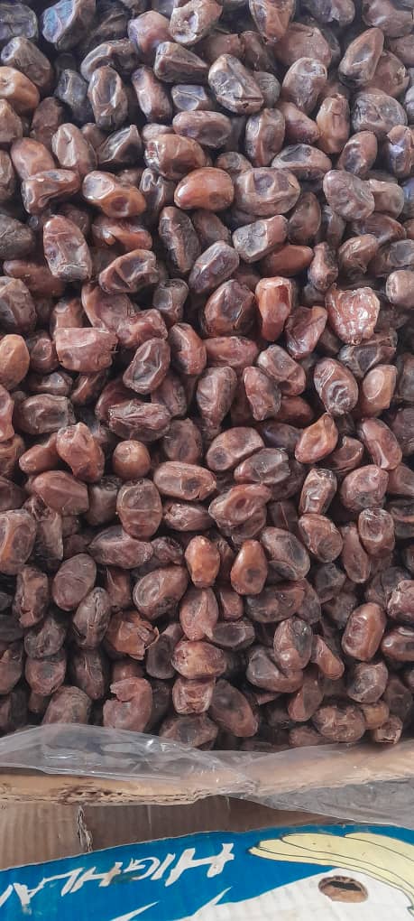 خرما زاهدی بوشهر + خرید