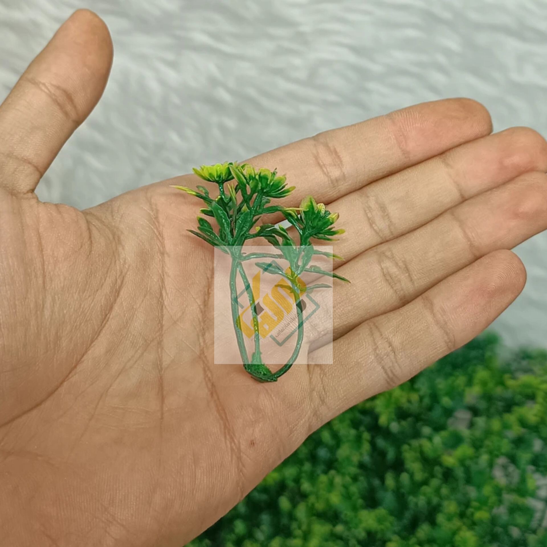 عرضه دیوار پوش سبز