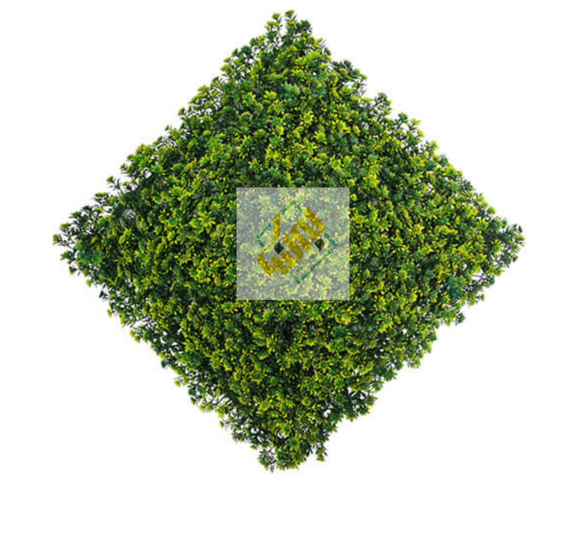 عرضه گرین وال مقاوم + خرید