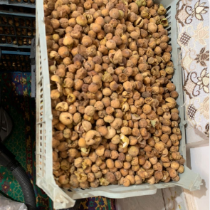 خرید انجیر ضایعاتی + قیمت