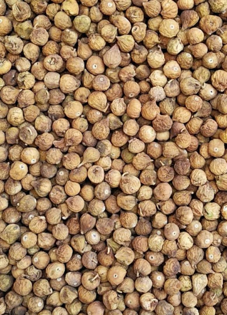 خرید و فروش انجیر صادراتی متوسط + خرید مستقیم از باغدار