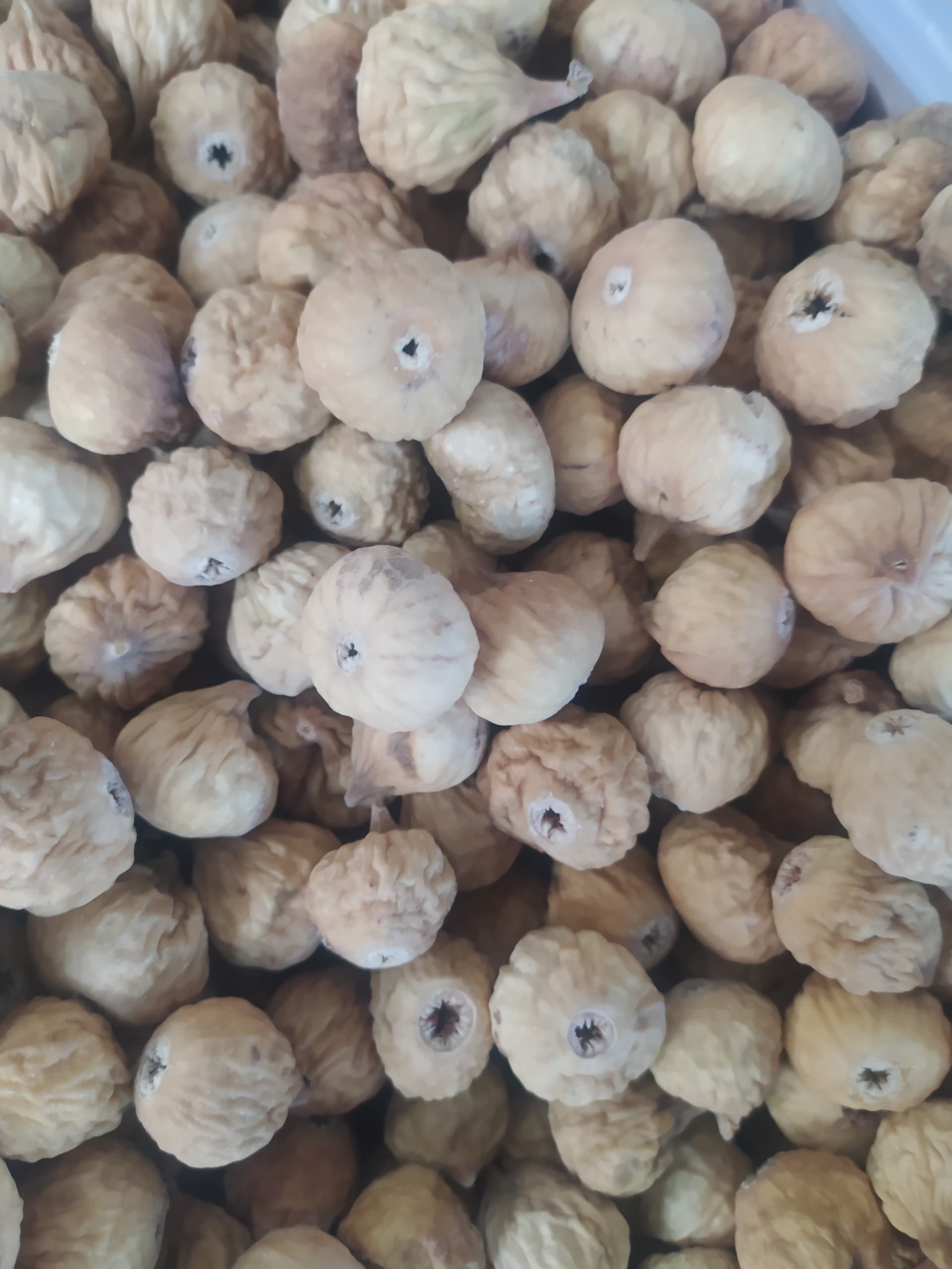 فروش انجیر سوپر ریز مستقیم از کارخانه