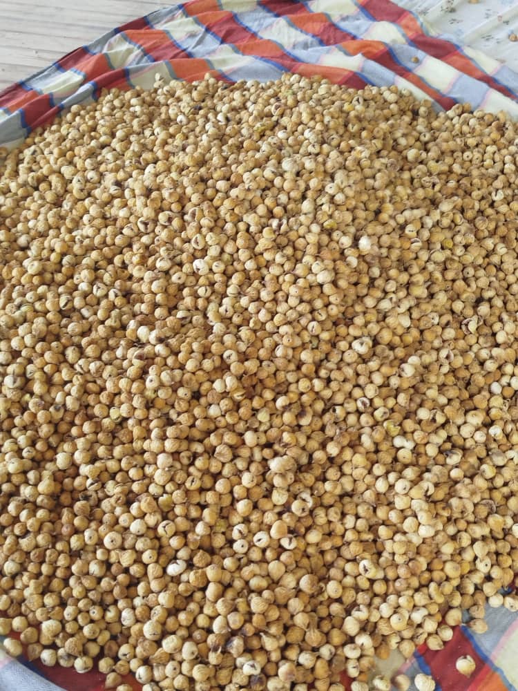 فروش ویژه انجیر خشک سوپر درشت با قیمت درب کارخانه