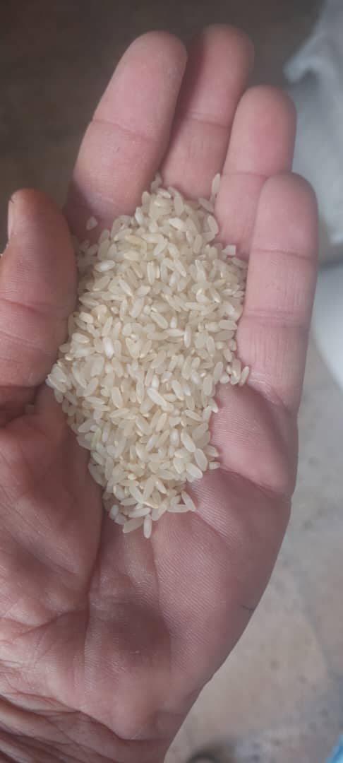 فروش برنج ایرانی صدرصدخالص +کامفیروز،فارس ب
