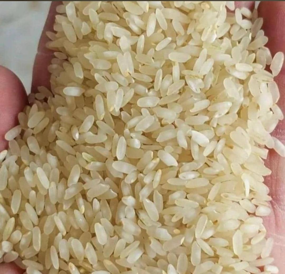 برنج ایرانی صد در صد خالص + فارس، کامفیروز