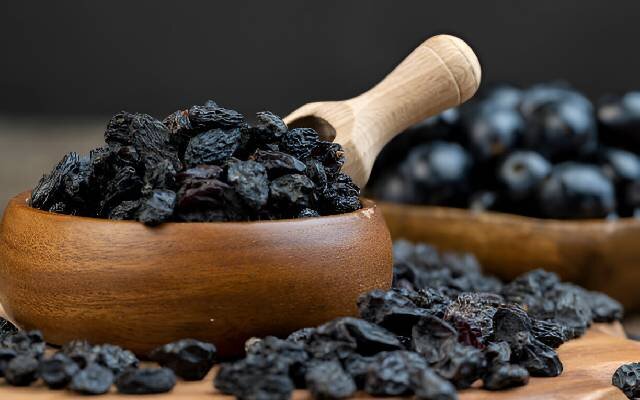 خرید ویژه مویز + فروش عمده
