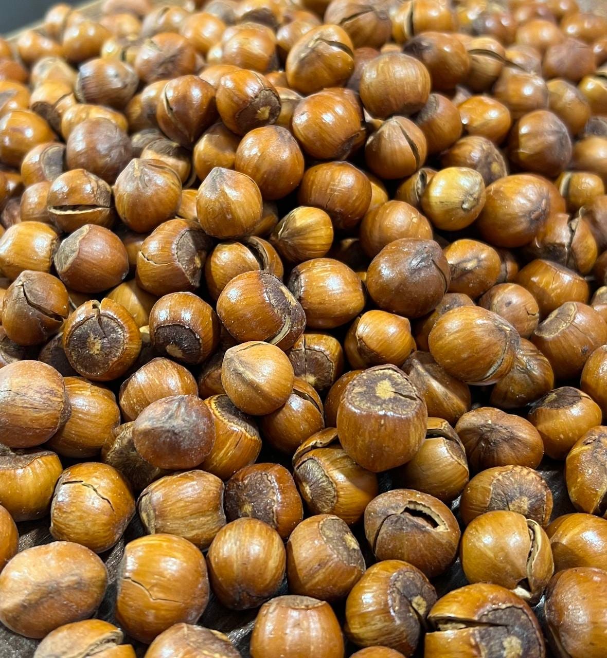 خرید فندوق با پوست