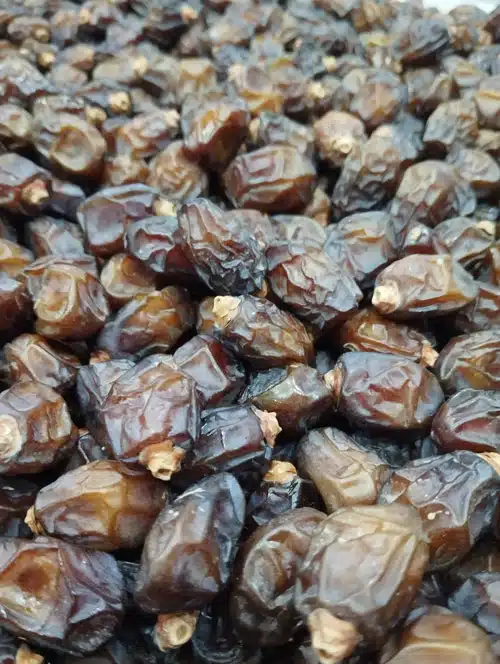 فروش ویژه خرما خاصویی