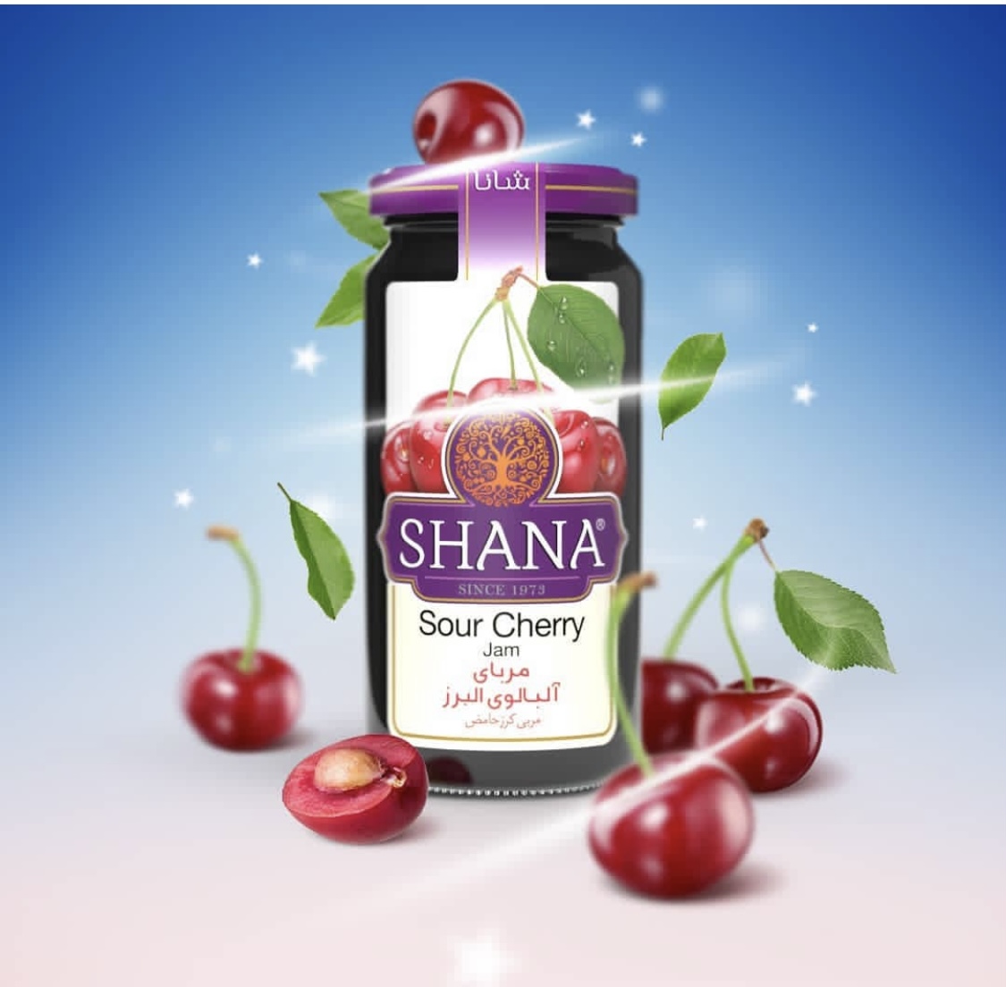 خرید و فروش مربا آلبالو شانا با شرایط فوق العاده