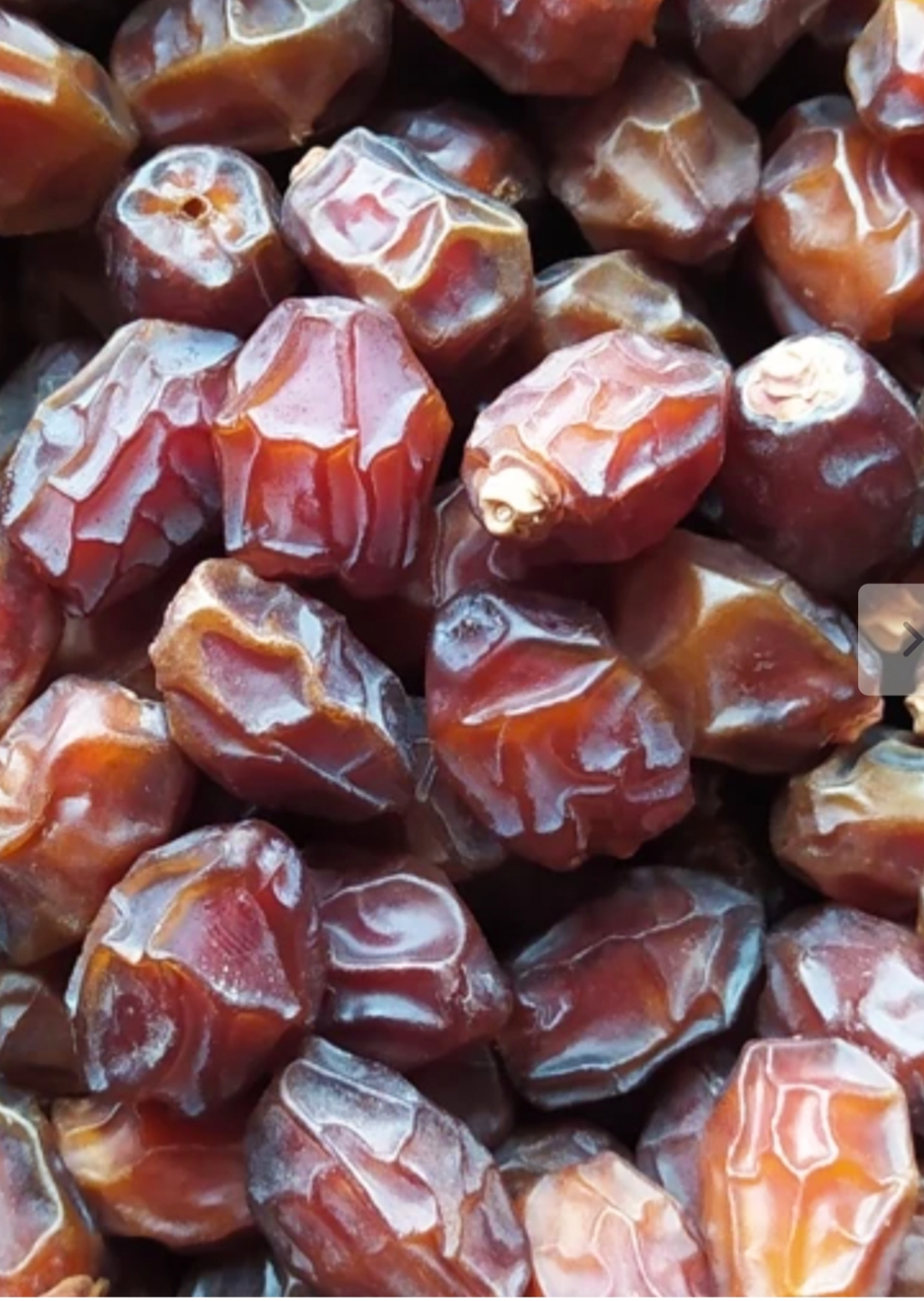 خرما خاصویی + قیمت مناسب و کیفیت بالا