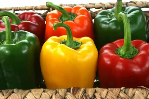 راهنمای خرید فلفل دلمه ای شیرین + قیمت عالی