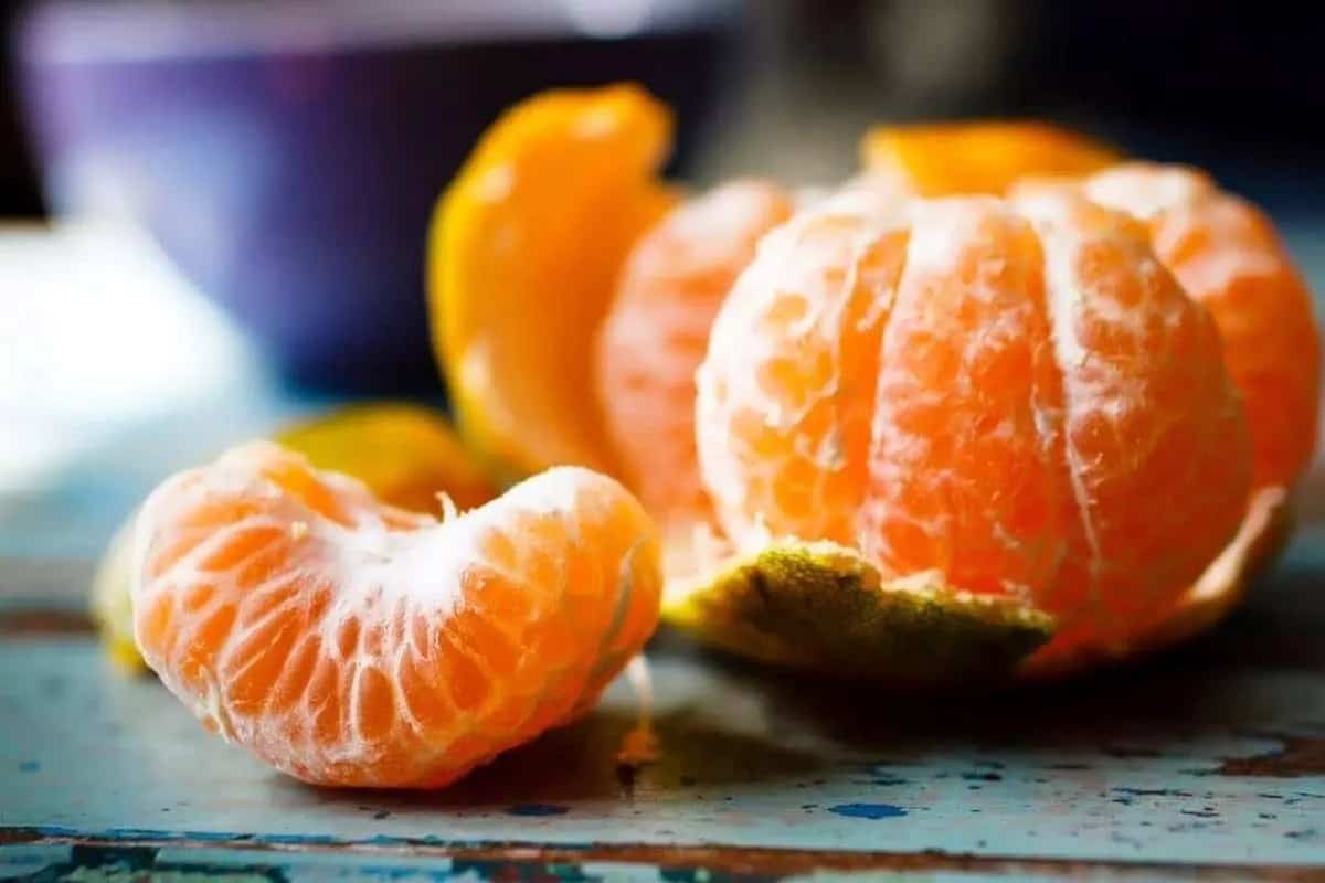 قیمت خرید نارنگی شیراز + فروش ویژه