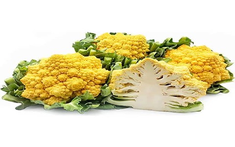 خرید کلم زرد + بهترین قیمت