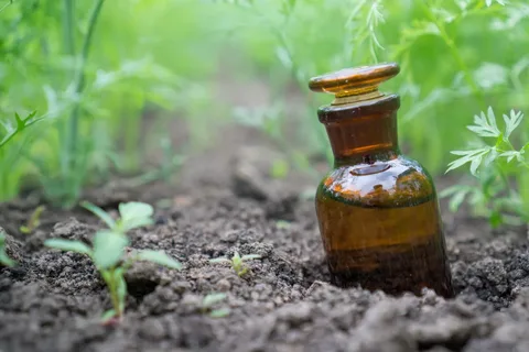 راهنمای خرید کود مرغی غنی از نیتروژن و مواد مغذی + قیمت عالی