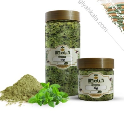 گیاه پونه خشک یا پودری بسته بندی + فروش صادراتی