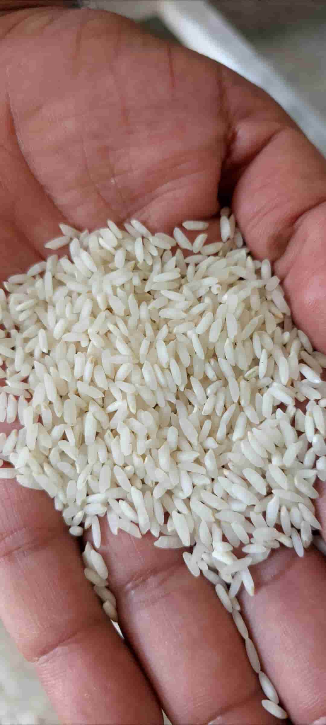 برند های غذایی به دنبال برنج کشت دوم تازه کوب موون رایس