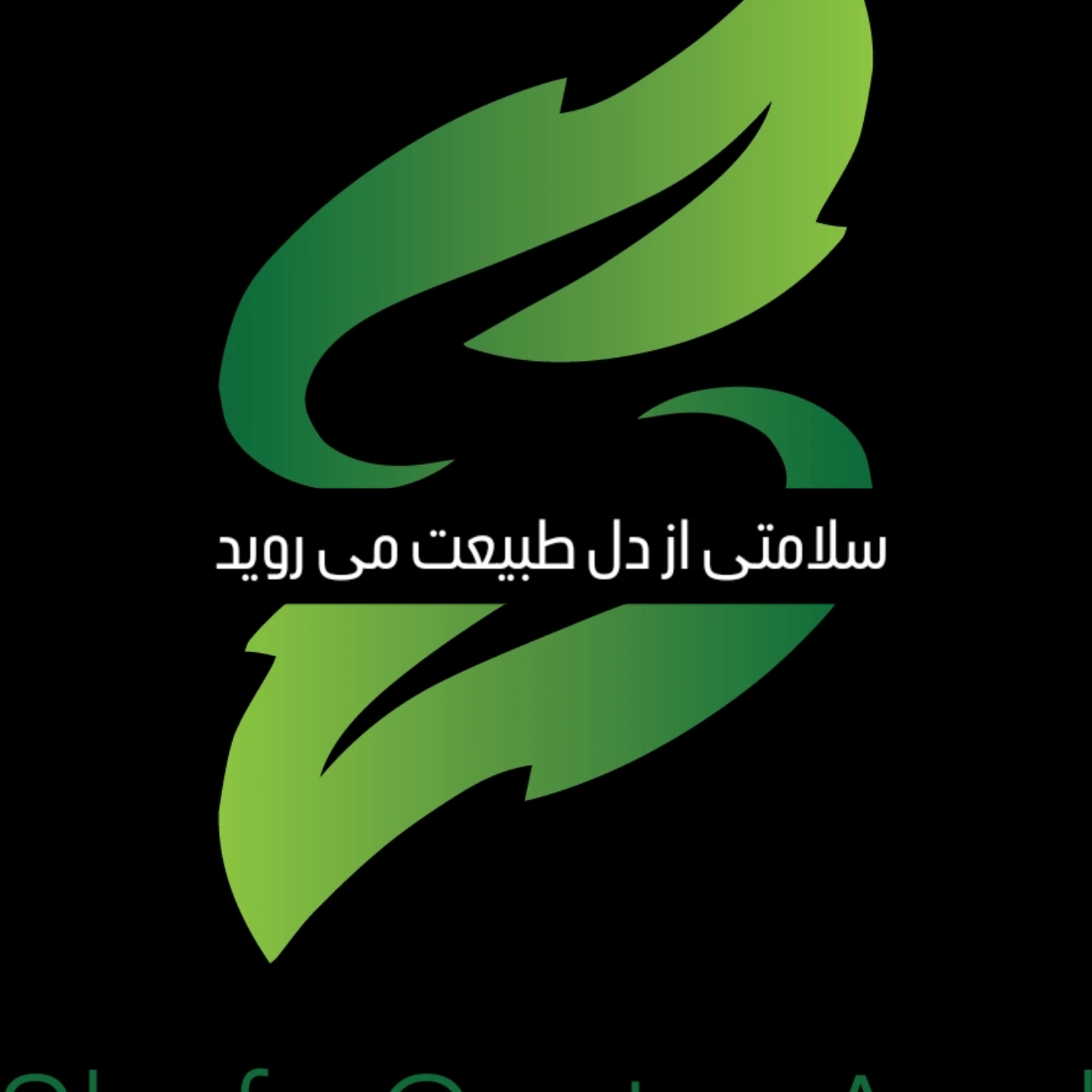 پولک گیاهی درجه یک با کیفیت بالا