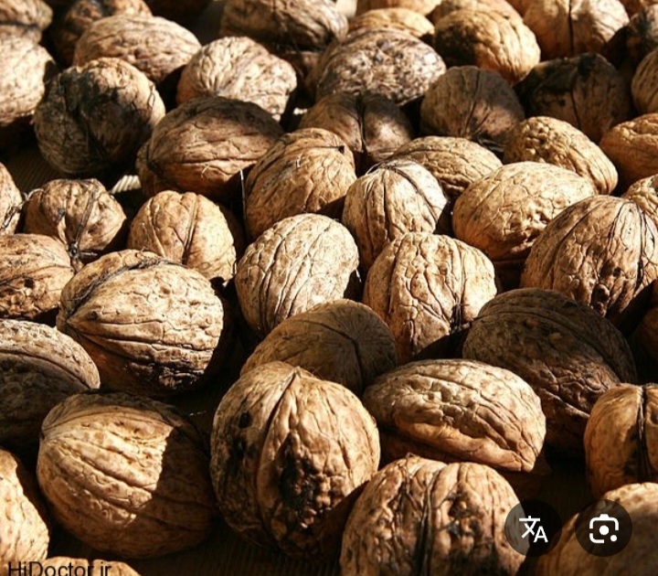 خریده عمده گردوی کاغذی آذرشهر مستقیم از باغبان + فروش عمده با سود طرفین