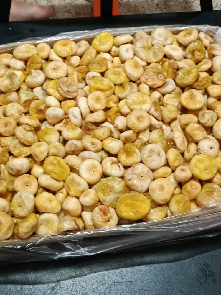 فروش عمده انجیر سکه ای با قیمت مناسب