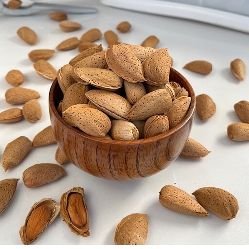 بادام درختی مرغوب + خرید به صرفه