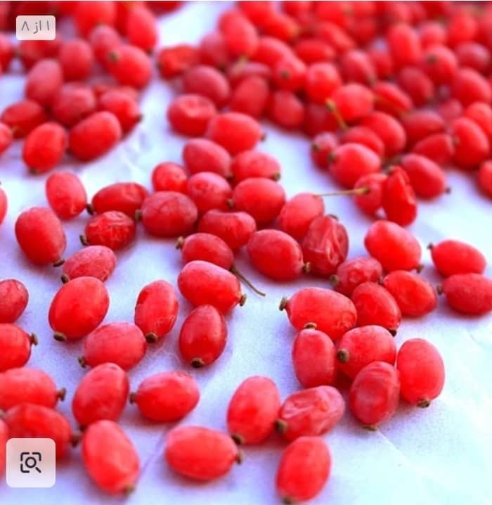 زرشک تازه ارگانیک درمیان + خرید