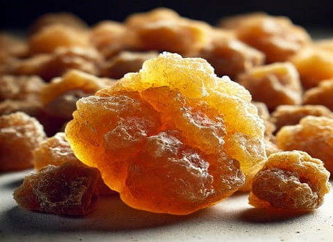 آنغوزه درجه یک با شرایط پرداخت منعطف برای تجارت خارجی + قیمت ویژه