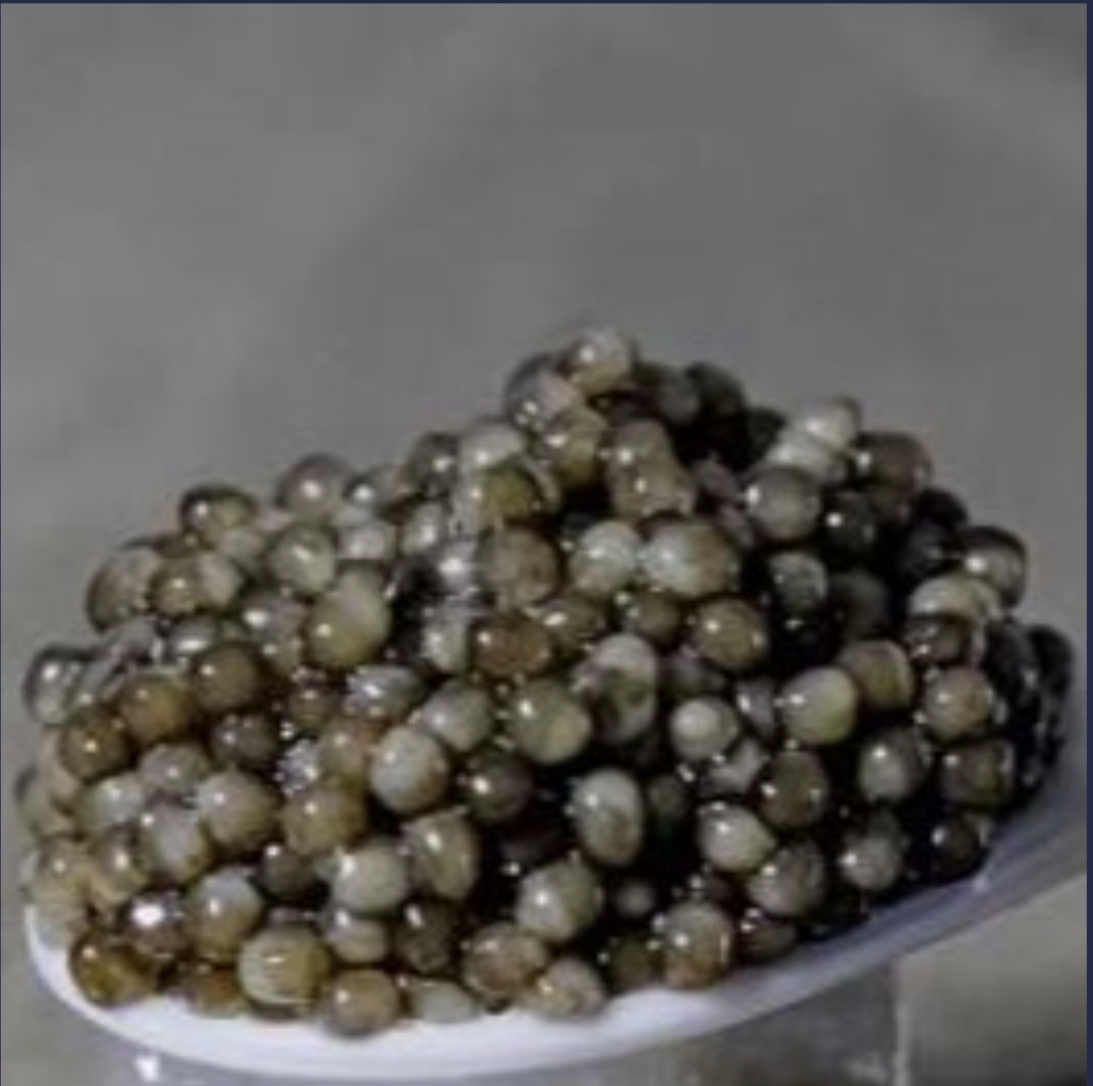 خرید خاویار بلوگا