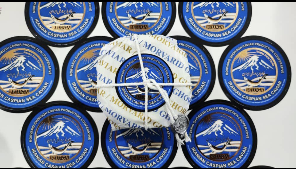 خاویار بلوگا در قوطی های متفاوت