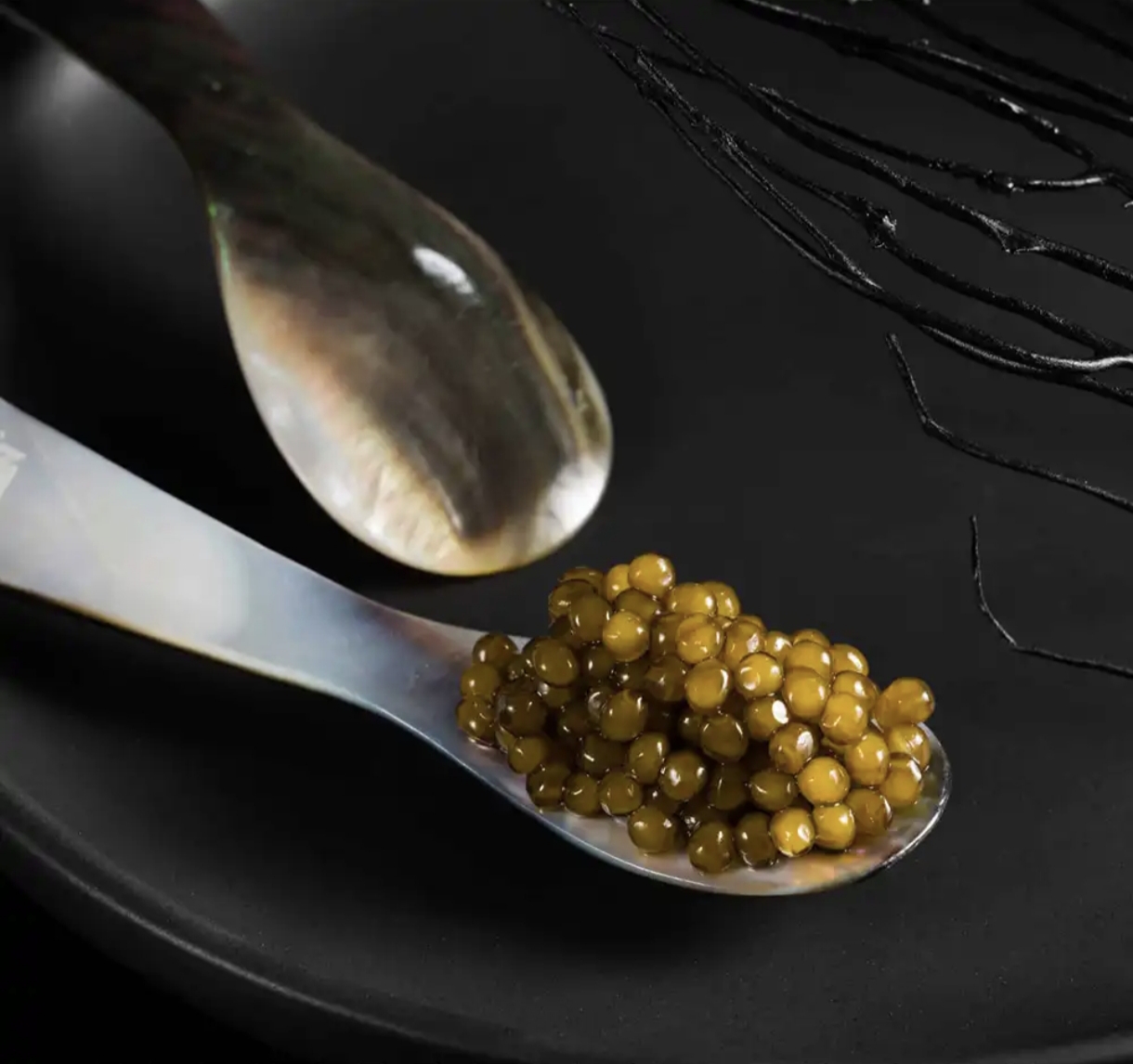 قیمت ویژه خاویار بلوگا