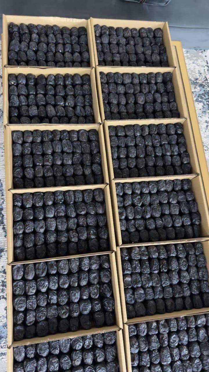 خرید عمده خرما عجوه عربستان + قیمت رقابتی